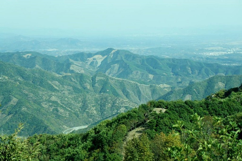 八仙山国家自然然保护区